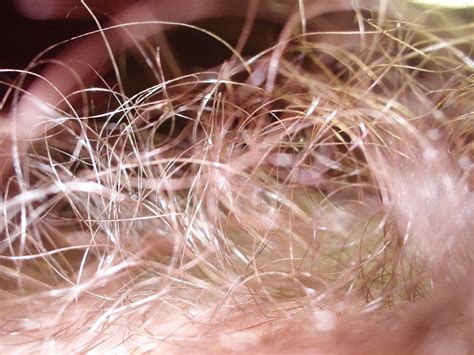 very hairy solo|Full bush .